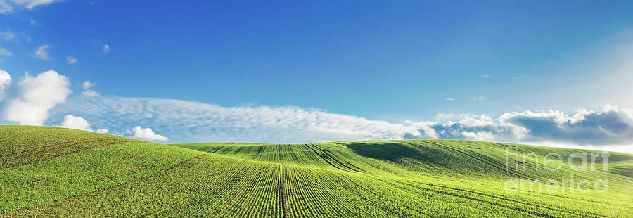 Green Field And Blue Sky With Clouds. Photograph