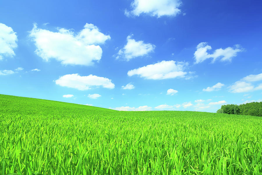 Green Field And White Clouds On Blue Sky Photograph by Konradlew