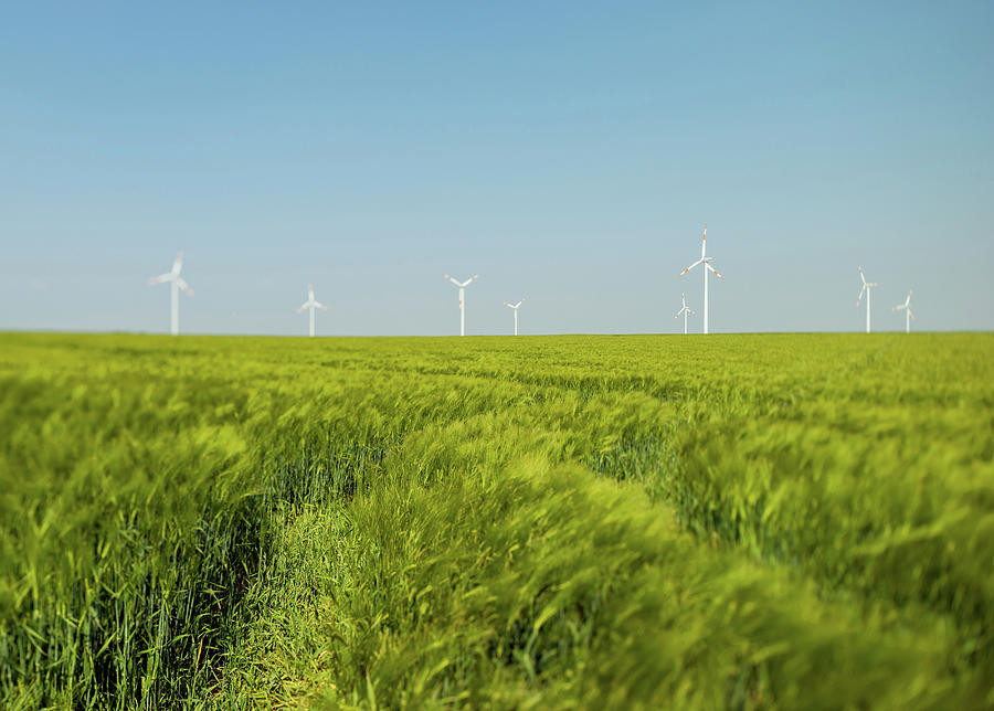 Green Field And Wind Turbines, Selfkant, Germany Digital Art by Mischa ...