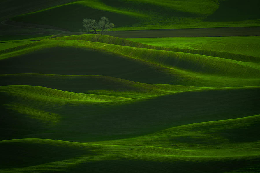 Sunset Photograph - Green Field Music by Xiaoyuan Xu
