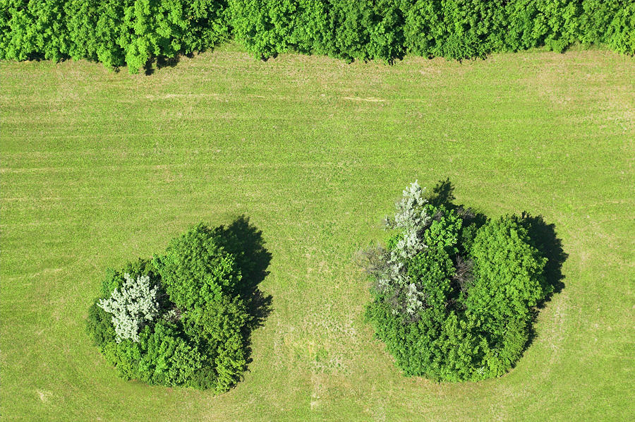 Green Field With Flowers From Above, Birds View, Landscape Photograph by Hermann Erber
