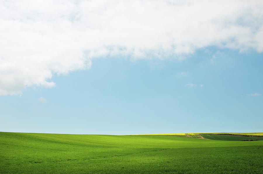 Green Fields Under Blue Sky Digital Art by Mischa Keijser - Fine Art ...