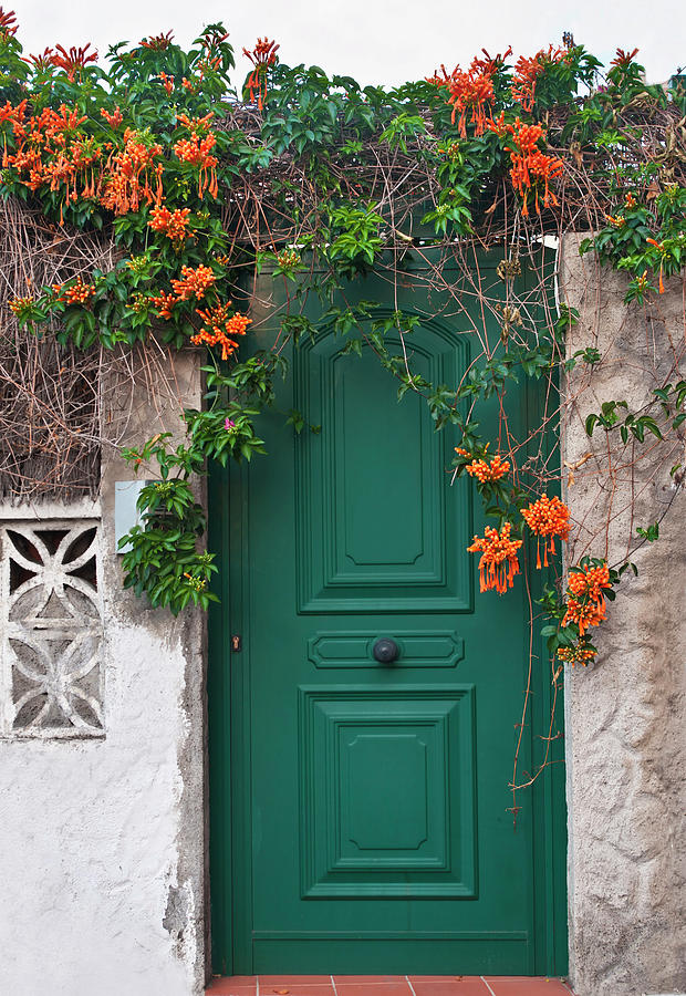 Green Front Door With Orange Flowers Photograph by Aygulsarvarova ...