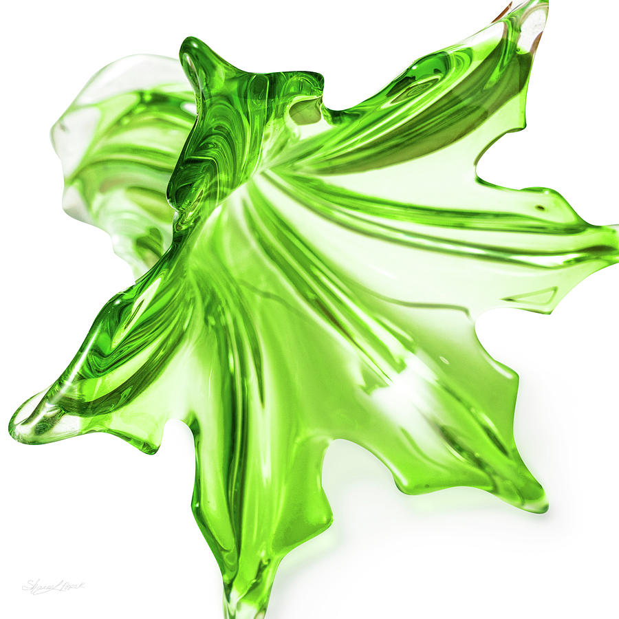 Green Glass Vase Photograph by Sharon Popek