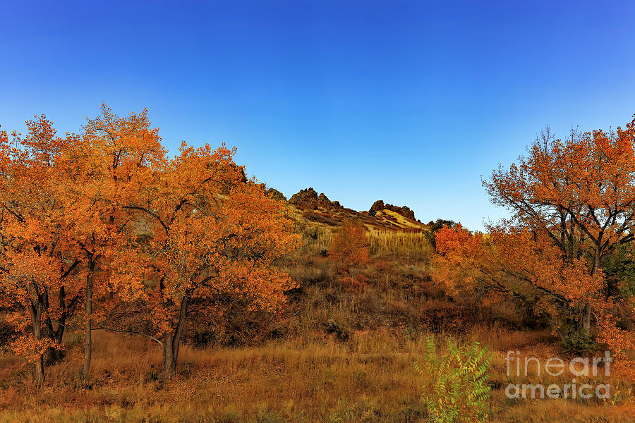 Green Gold and Blue by Jon Burch Photography Green Gold and Blue by Jon Burch Photography