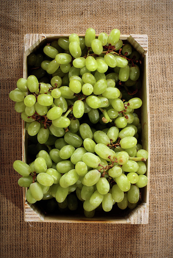 Green Grapes Photograph by Chang