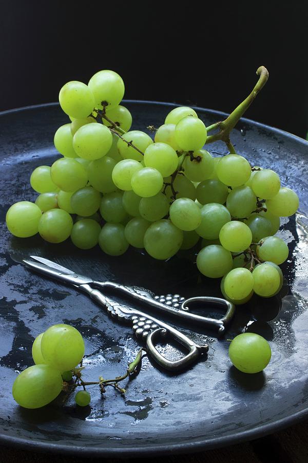 Green Grapes With Grape Scissors On A Black Dish Photograph by Charlotte Von Elm