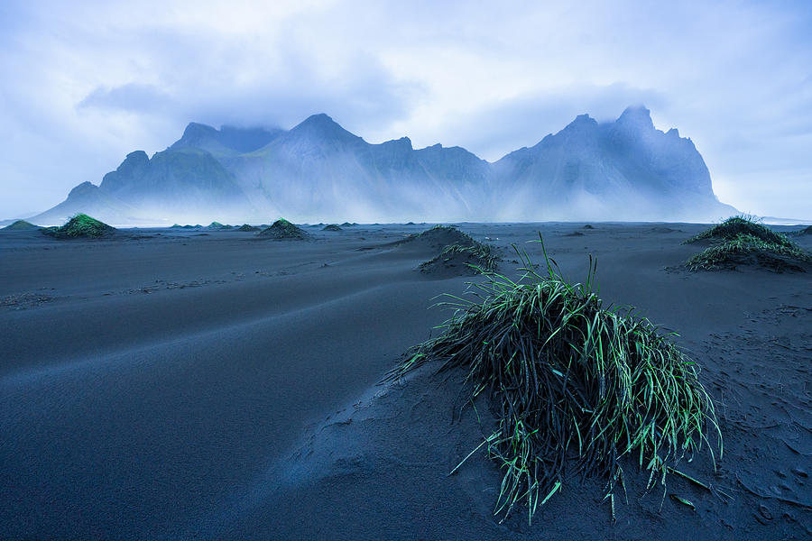 Green Grass & Black Sand Beach Photograph by Joy Pingwei Pan