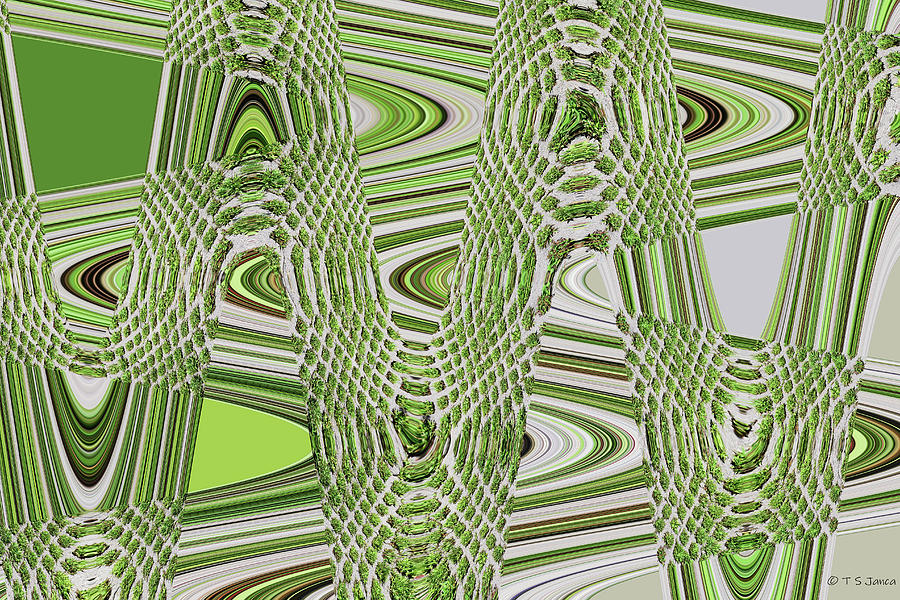 Green Grass Patches Abstract Digital Art by Tom Janca
