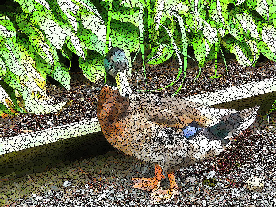 Green head mallard duck 2 Painting by Jeelan Clark