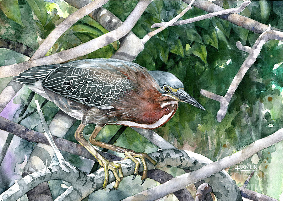 Green Heron - Port Aransas Painting by Steve Hamlin