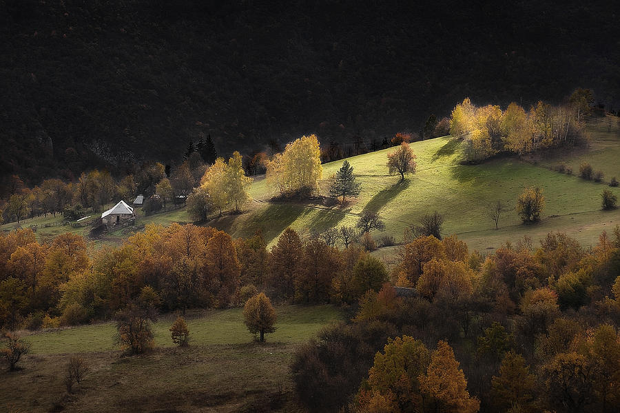 Green Hill Photograph by Zoran Milutinovic