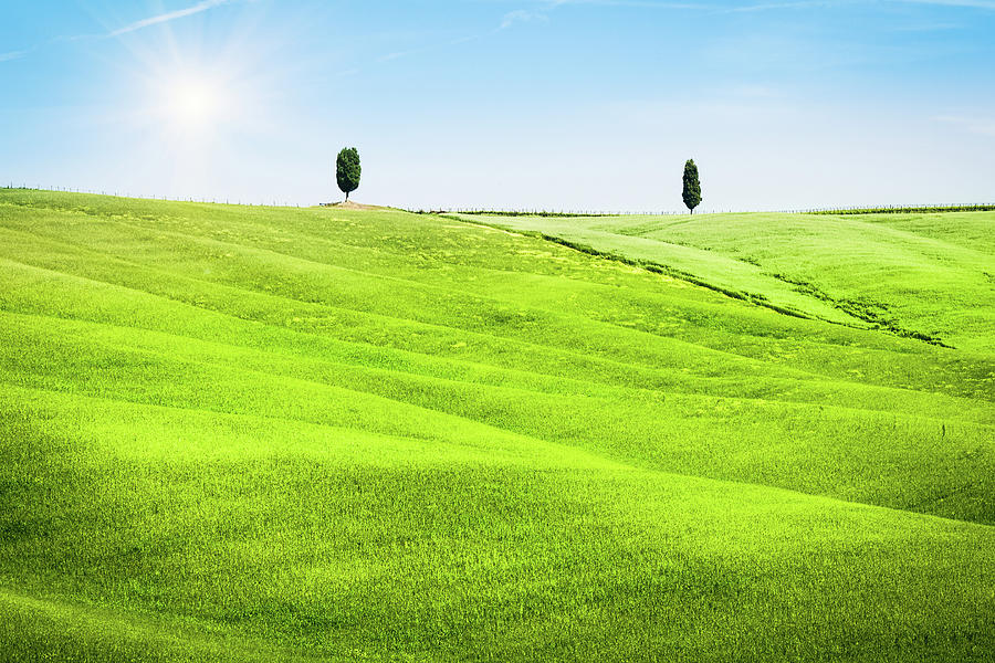 Green Hills Landscape In Tuscany, Val Photograph by Zodebala