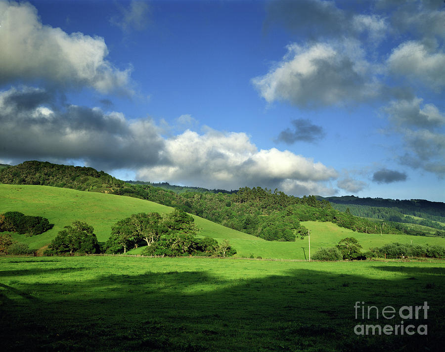 Green Hills of Bolinas, Marin County California Photograph by Wernher Krutein