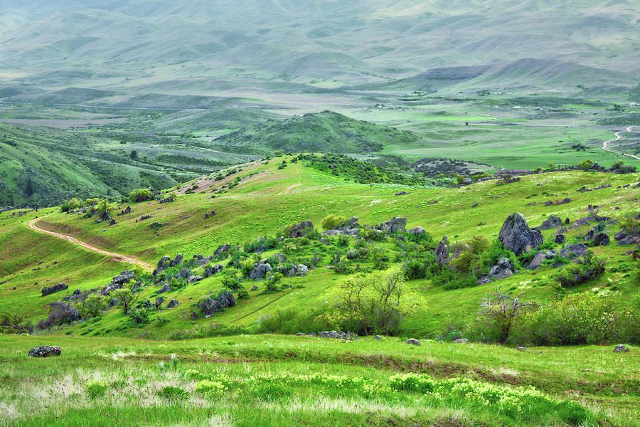 Green Hills Of Rural Idaho Photograph by Anna Gorin