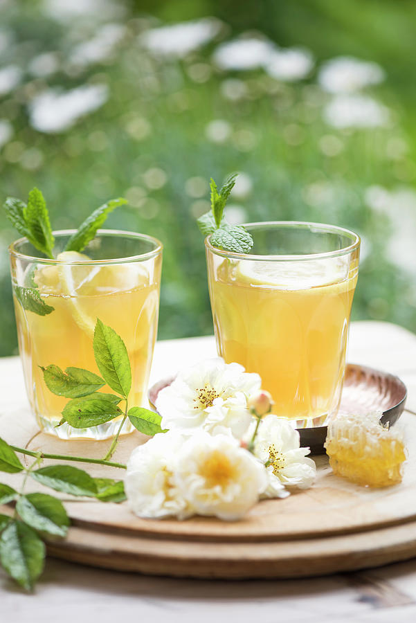 Green Honey Iced Tea With Peppermint And Ginger Photograph by Winfried Heinze