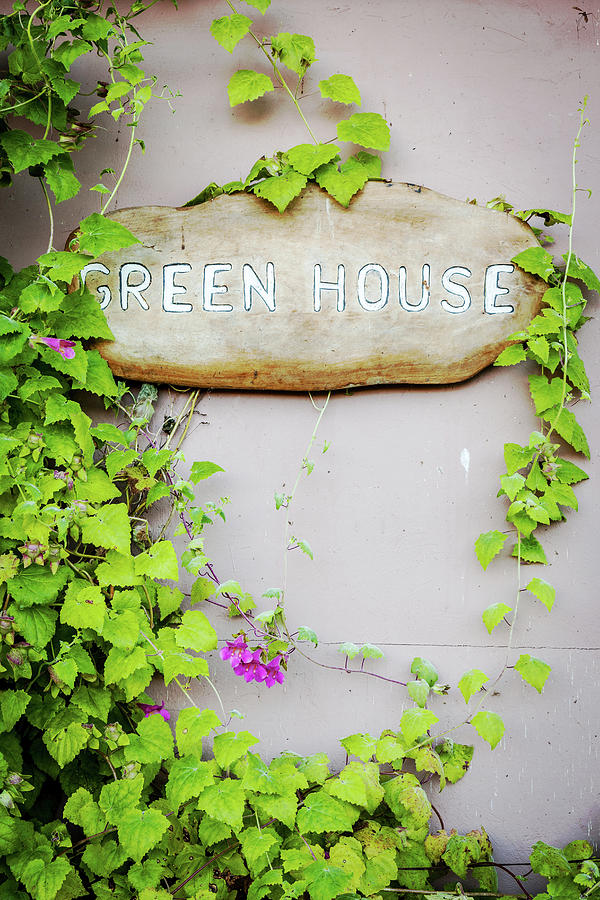 Green House Sign Photograph
