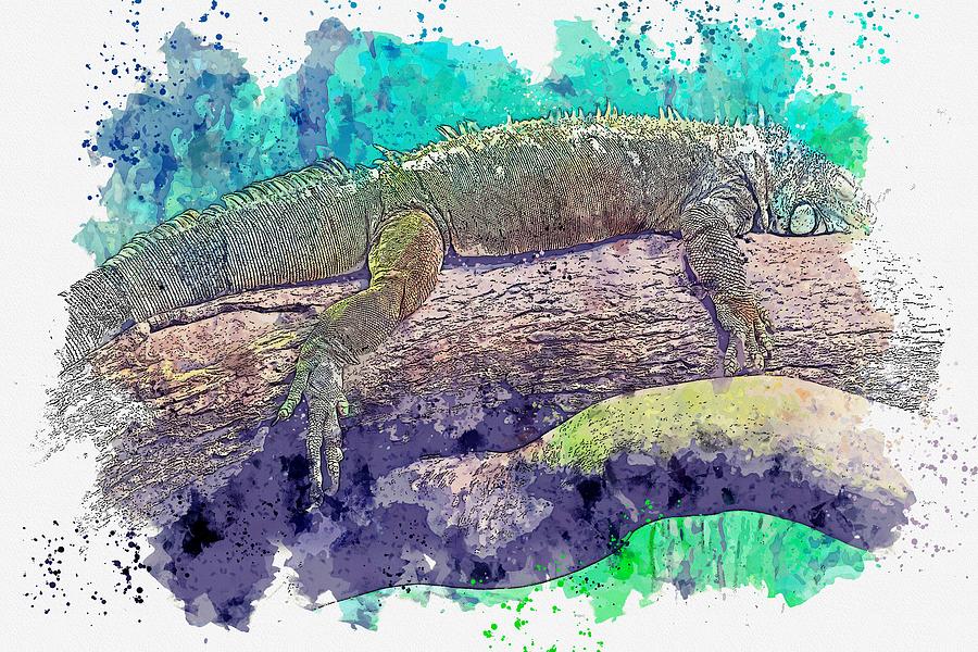 Green Iguana -  watercolor by Ahmet Asar Painting by Celestial Images