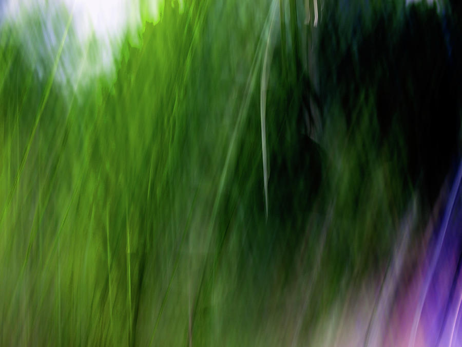 Green Illusion Photograph by Jorg Becker