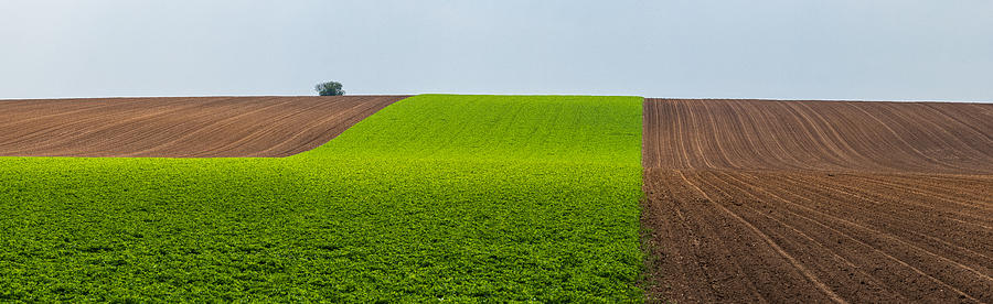 Green Land Photograph by Roman Chuda