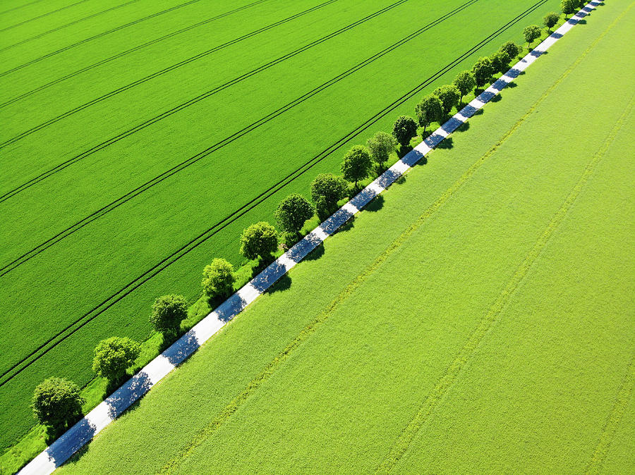 Green landscape with trees from above Photograph by Matthias Hauser ...