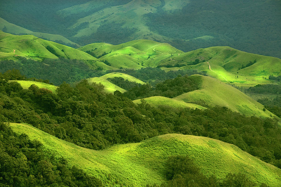 Green Layers And Mountains Photograph by Photo By Chetan J