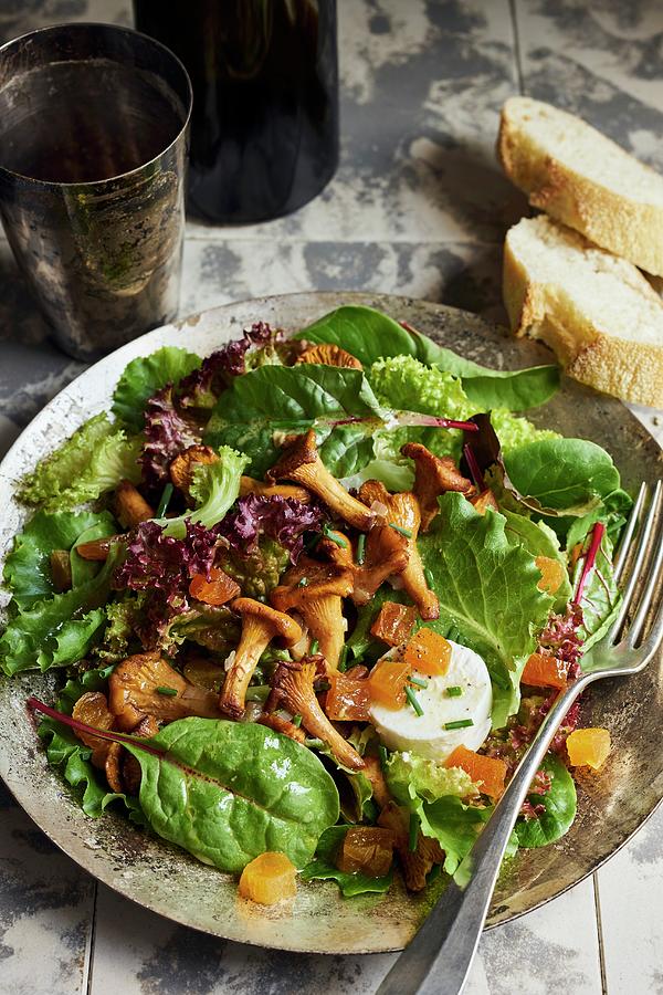 Green Leaf Salad With Chanterelles, Dried Apricots And Goats Cheese Photograph by Ulrike Emmert