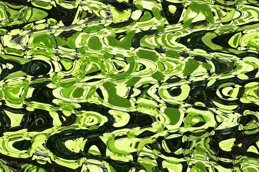 Green Leaves Abstract Photograph by Susan Newcomb