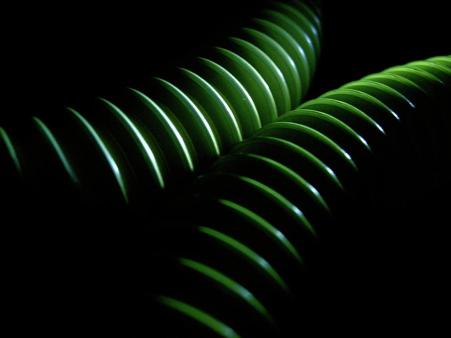 Green Lines On Black Photograph by Photo Ephemera