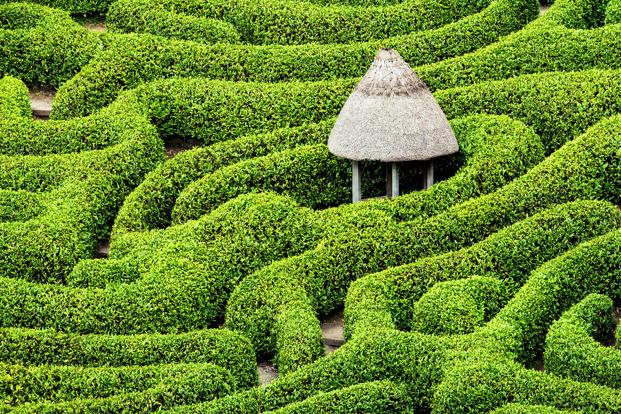 Spring Photograph - Green Maze by Michael Blanchette Photography