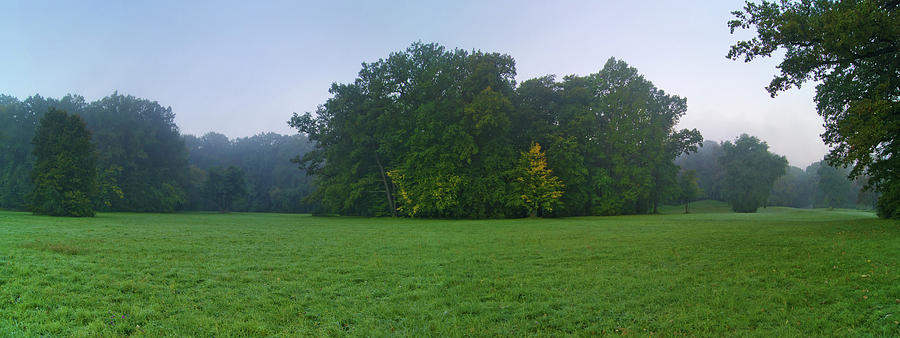 Green Meadow In Autumn Photograph