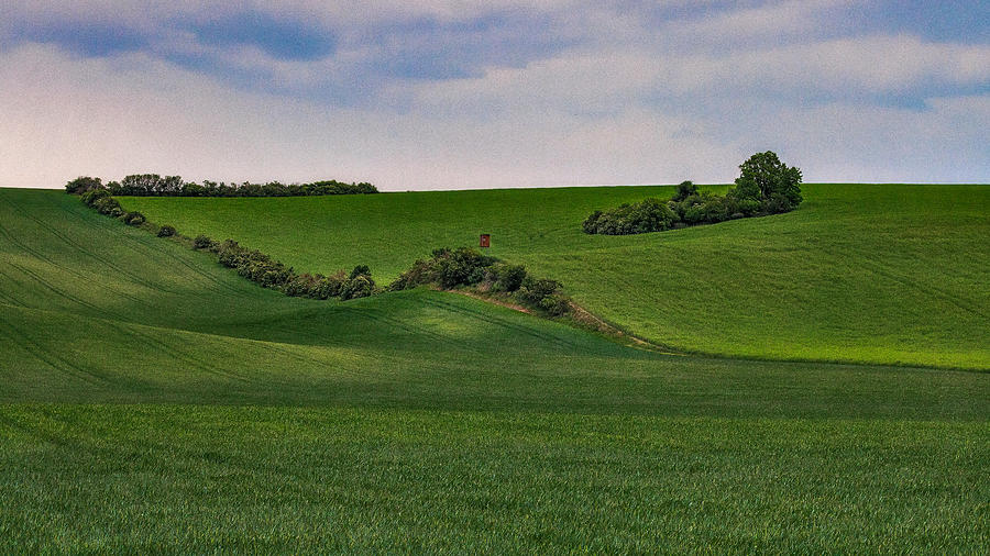 Green Moravian Fields Photograph by Slawomir Kowalczyk