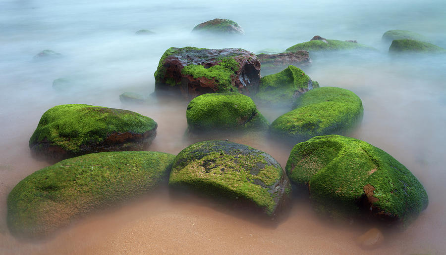 Green Mossy Rocks And Misty Water Photograph by Steve Daggar Photography