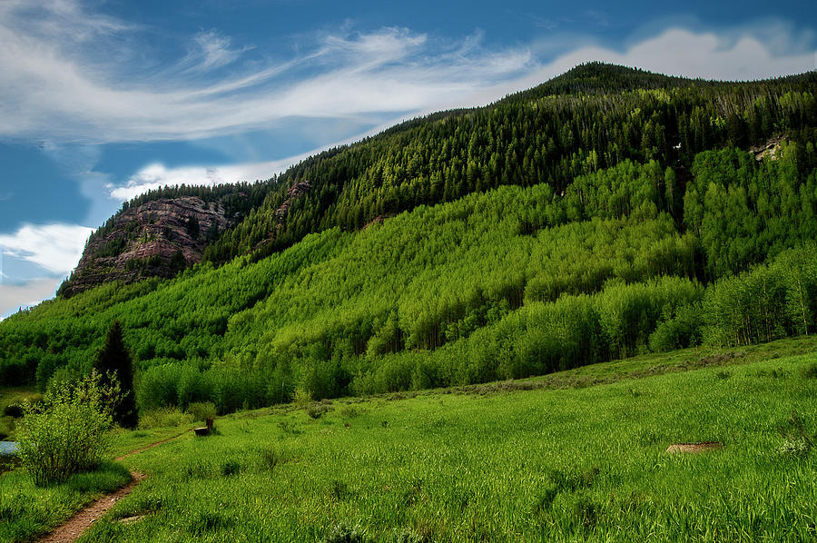 Green mountain scene near Vail Colorado Photograph by Dan Friend