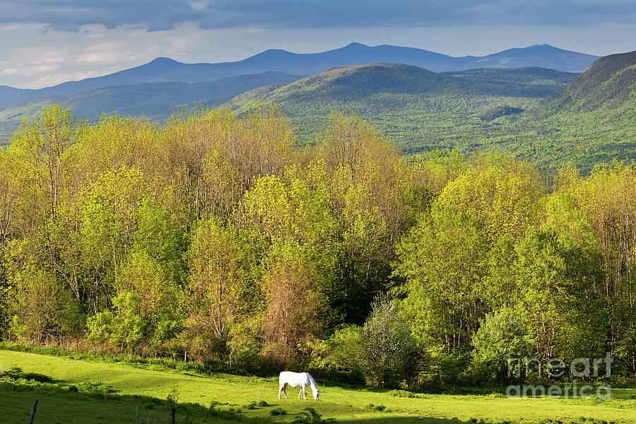 Green Mountain Spring Scenic Photograph by Alan L Graham