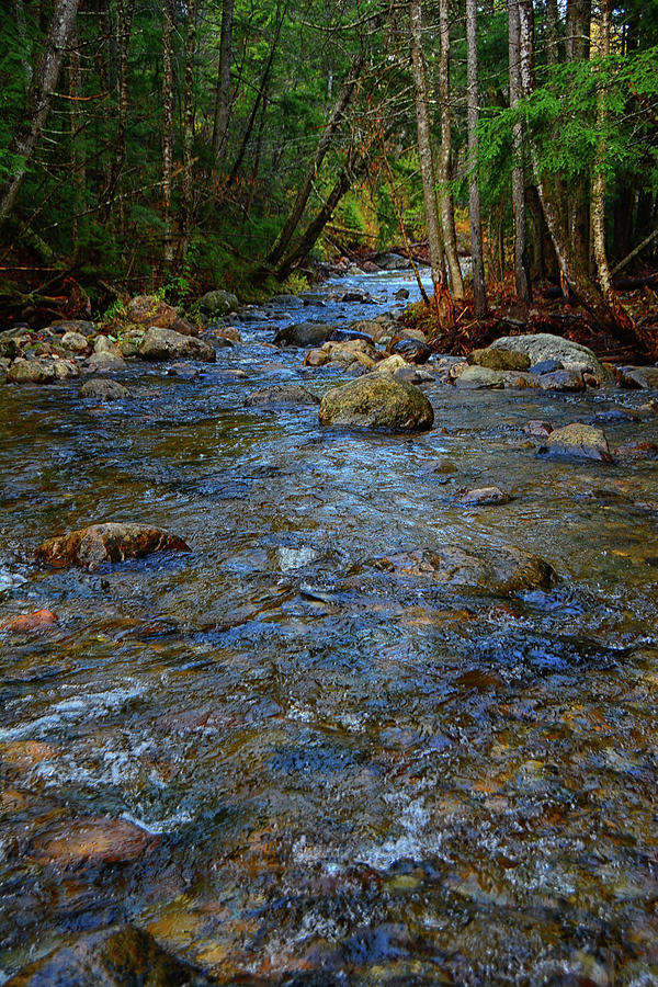 Green Mountain Water Crossing Photograph by Raymond Salani III