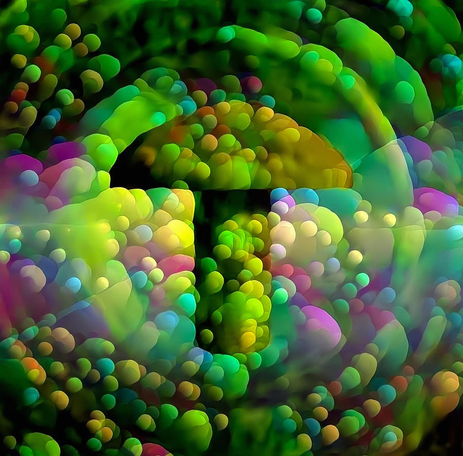 Green Mushroom Digital Art by Bruce Rolff - Fine Art America