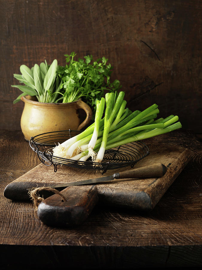Still Life Digital Art - Green Onions And Herbs On Wooden Board by Diana Miller