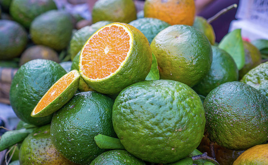 Green Oranges by Gary Gillette Green Oranges by Gary Gillette