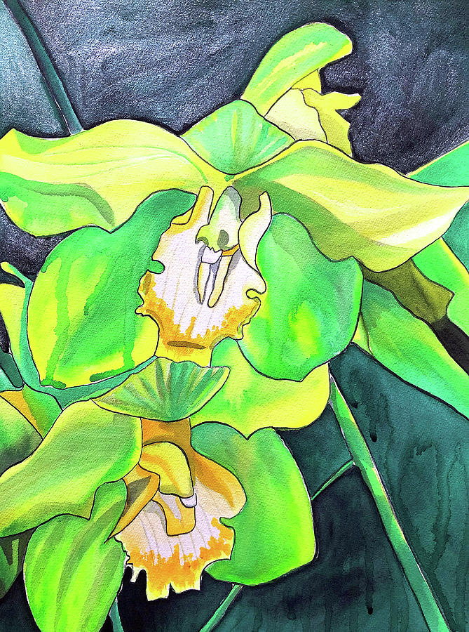 Flowers Painting - Green Orchids by Sacha Grossel