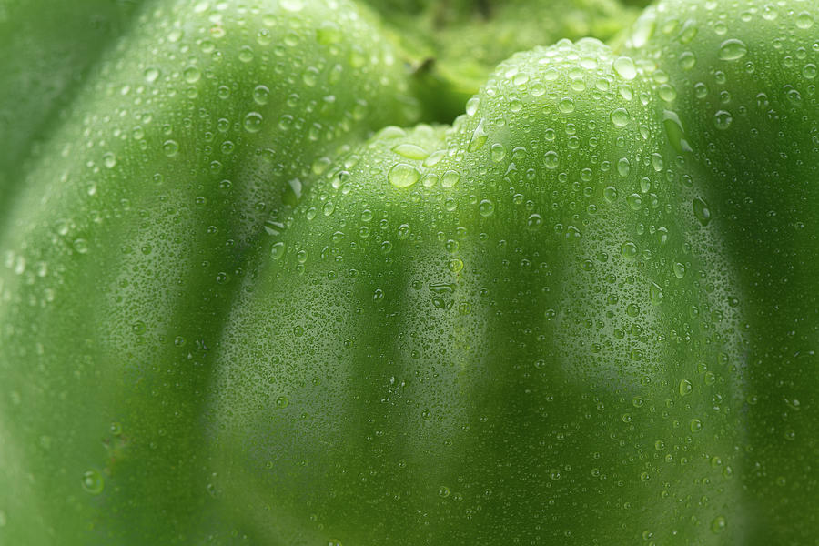 Green Pepper Skin Photograph