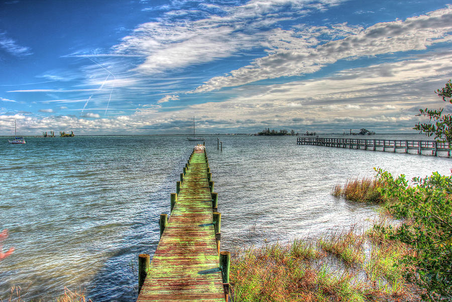 Pier Photograph - Green Pier And Sea Grass by Robert Goldwitz