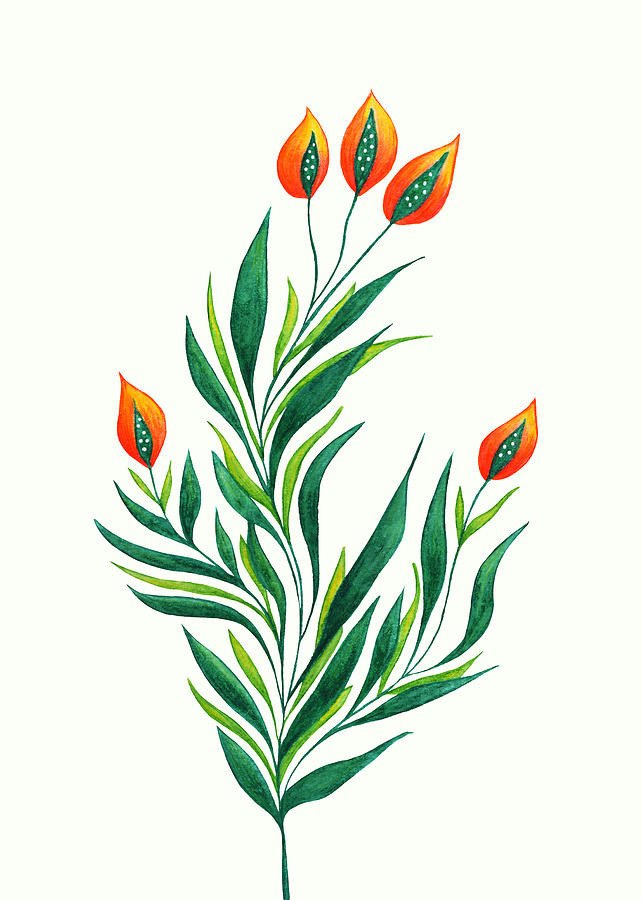 Nature Drawing - Green Plant With Orange Buds by Boriana Giormova