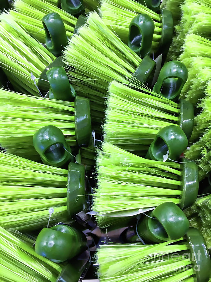 Abstract Photograph - Green Plastic Brushes by Tom Gowanlock Abstract Photograph - Green Plastic Brushes by Tom Gowanlock