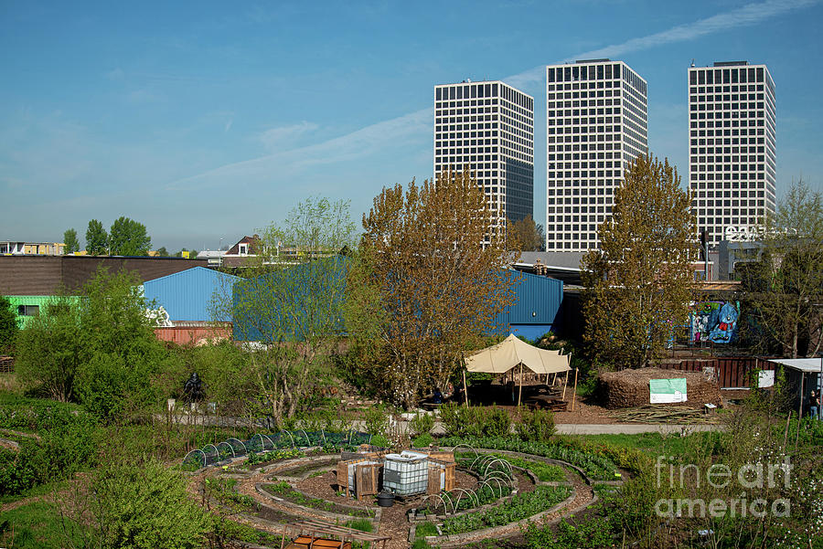 Green Project In Rotterdam Photograph by Marco Ansaloni / Science Photo Library