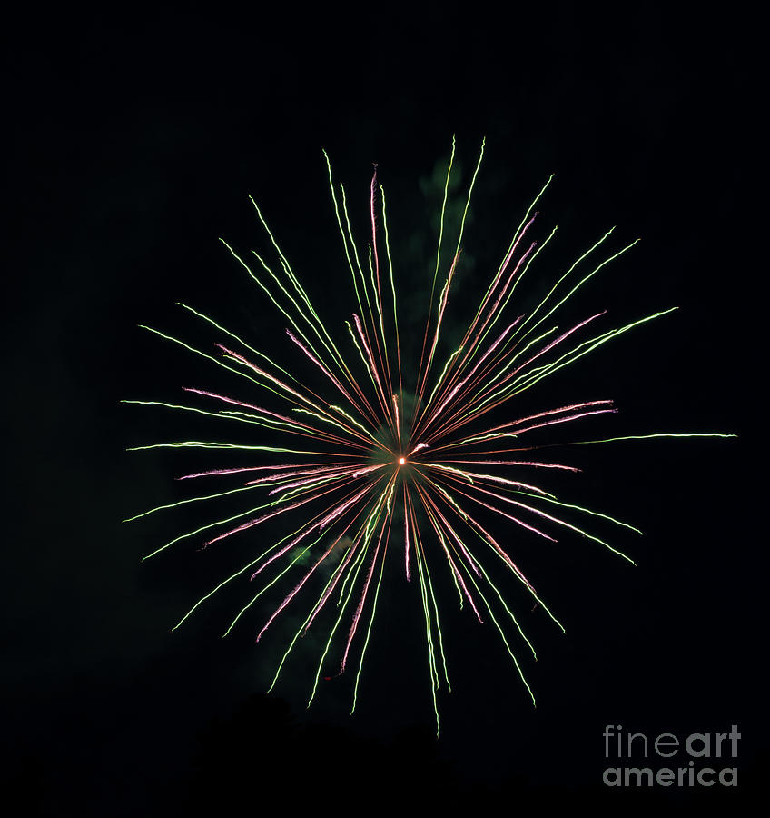 Green-purple Fireworks Photograph by Wolfdale64