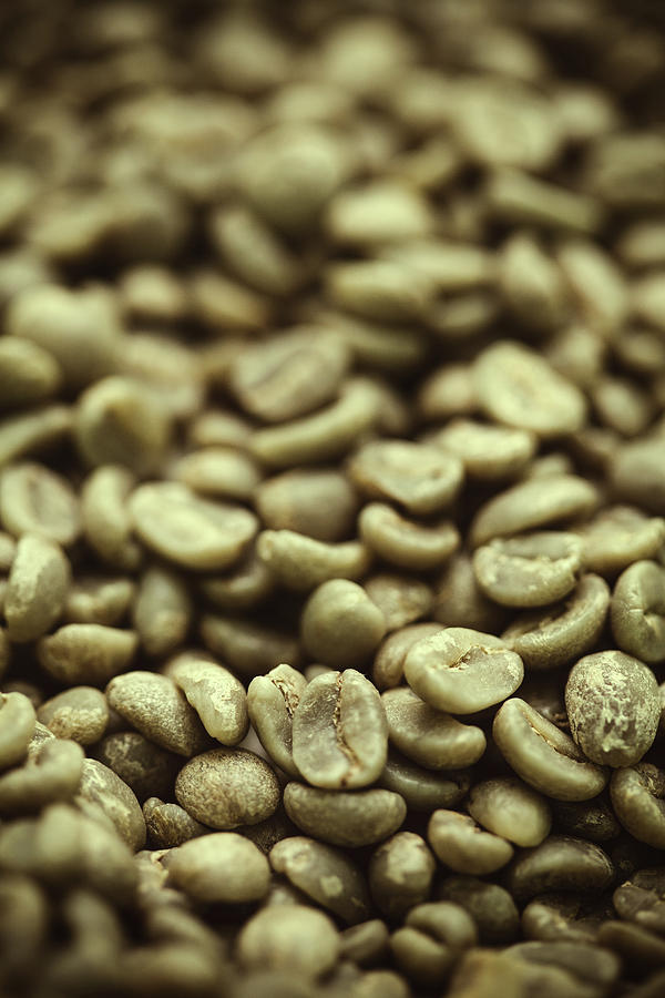 Green Raw Coffee Bean Crop Photograph by Ryanjlane