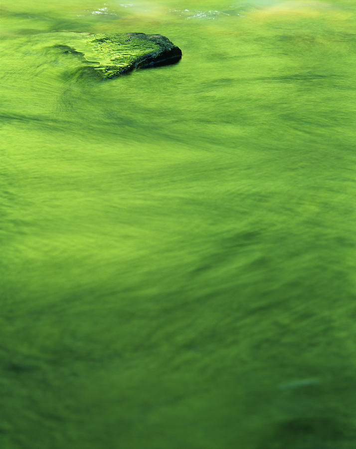 Green Reflections On A River Photograph by Zeb Andrews