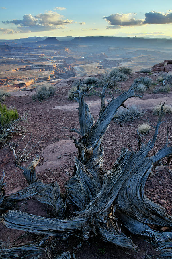 Green River from Overlook in Canyonlands NP Photograph by Ray Mathis