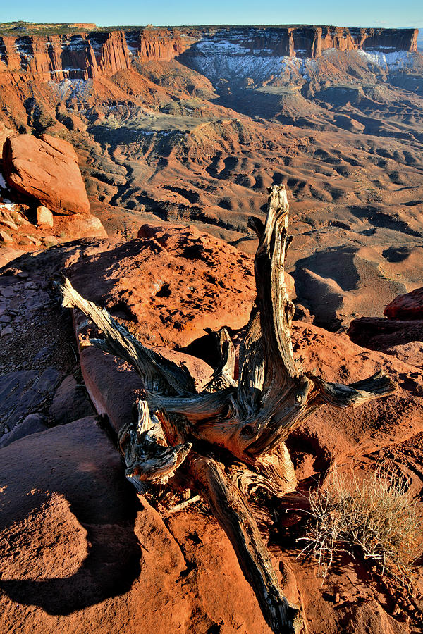 Green River Overlook in Canyonlands National Park Photograph by Ray Mathis